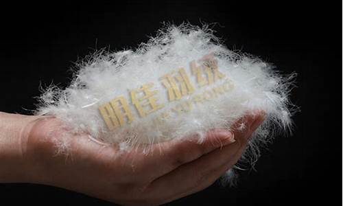 鸭绒的期货(鸭绒价格多少钱一克)_https://www.xzdzcjn.com_北交所_第1张