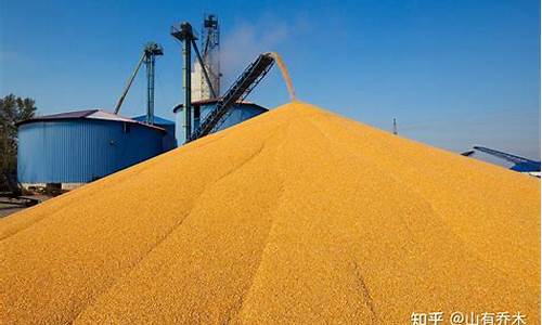 玉米期货多少钱一手(玉米期货)_https://www.xzdzcjn.com_北交所_第1张