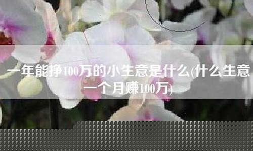 一年能挣100万的小生意(一年能挣100万的小生意都有哪些)_https://www.xzdzcjn.com_科创板_第1张