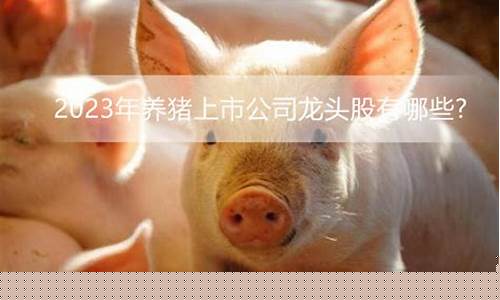中国养猪上市公司前十名(中国养猪上市公司前十名2023)_https://www.xzdzcjn.com_创业板_第1张