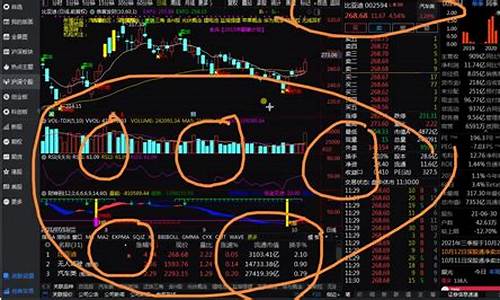 怎么样选股票视频讲解(如何选股视频教程)_https://www.xzdzcjn.com_创业板_第1张