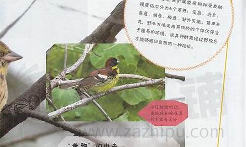 大自然科普知识(大自然科普知识有哪些)_https://www.xzdzcjn.com_创业板_第1张