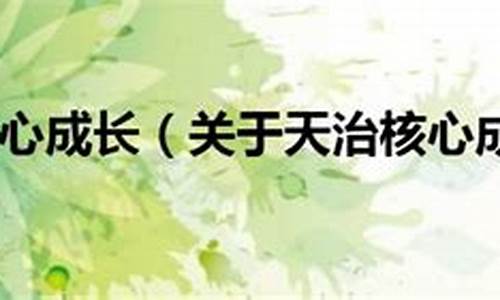 天治核心怎样(天治核心成长股票型证券投资基金)_https://www.xzdzcjn.com_深交所_第1张