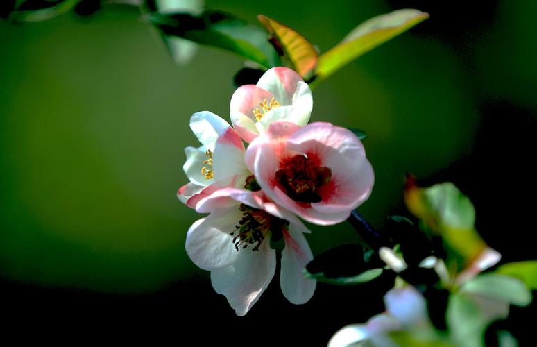 国内期货实盘直播间(现货期货直播)_https://www.xzdzcjn.com_北交所_第1张