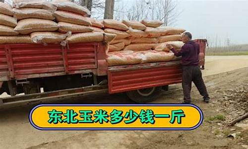 小伙买玉米期货视频直播(小伙买玉米期货视频直播在线观看)_https://www.xzdzcjn.com_深交所_第1张