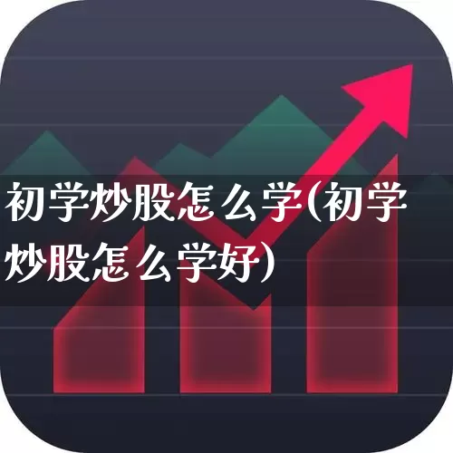 初学炒股怎么学(初学炒股怎么学好)_https://www.xzdzcjn.com_深交所_第1张
