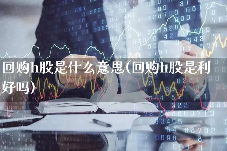 回购h股是什么意思(回购h股是利好吗)_https://www.xzdzcjn.com_北交所_第1张