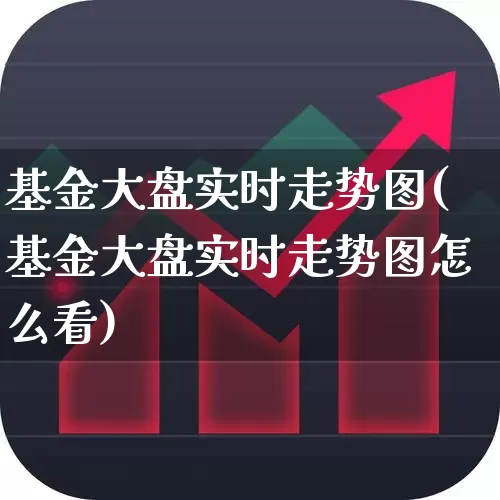 基金大盘实时走势图(基金大盘实时走势图怎么看)_https://www.xzdzcjn.com_北交所_第1张