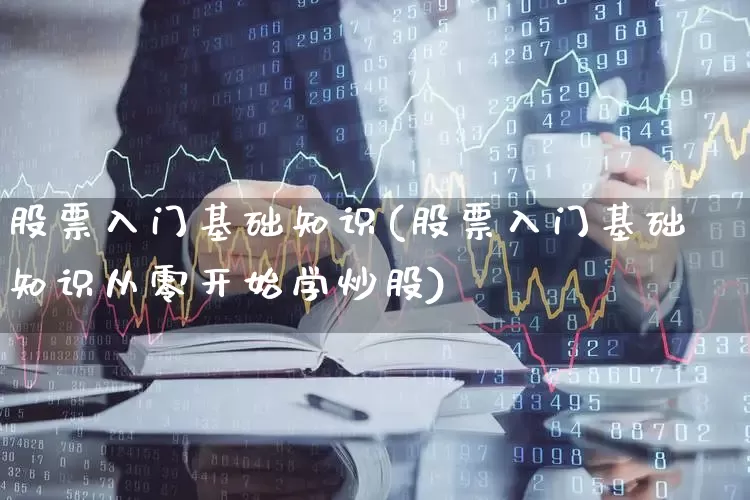 股票入门基础知识(股票入门基础知识从零开始学炒股)_https://www.xzdzcjn.com_北交所_第1张