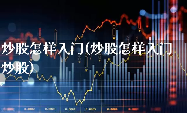 炒股怎样入门(炒股怎样入门炒股)_https://www.xzdzcjn.com_北交所_第1张