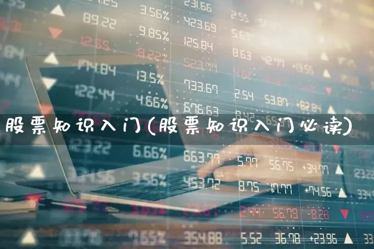 股票知识入门(股票知识入门必读)_https://www.xzdzcjn.com_创业板_第1张