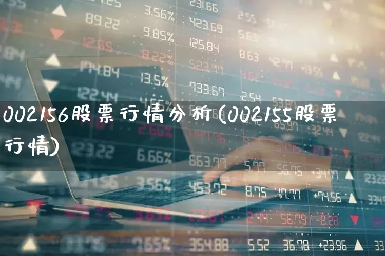 002156股票行情分析(002155股票行情)_https://www.xzdzcjn.com_创业板_第1张