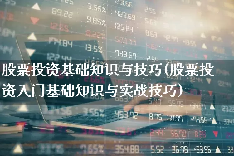 股票投资基础知识与技巧(股票投资入门基础知识与实战技巧)_https://www.xzdzcjn.com_深交所_第1张
