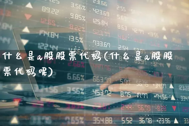 什么是a股股票代码(什么是a股股票代码呢)_https://www.xzdzcjn.com_科创板_第1张