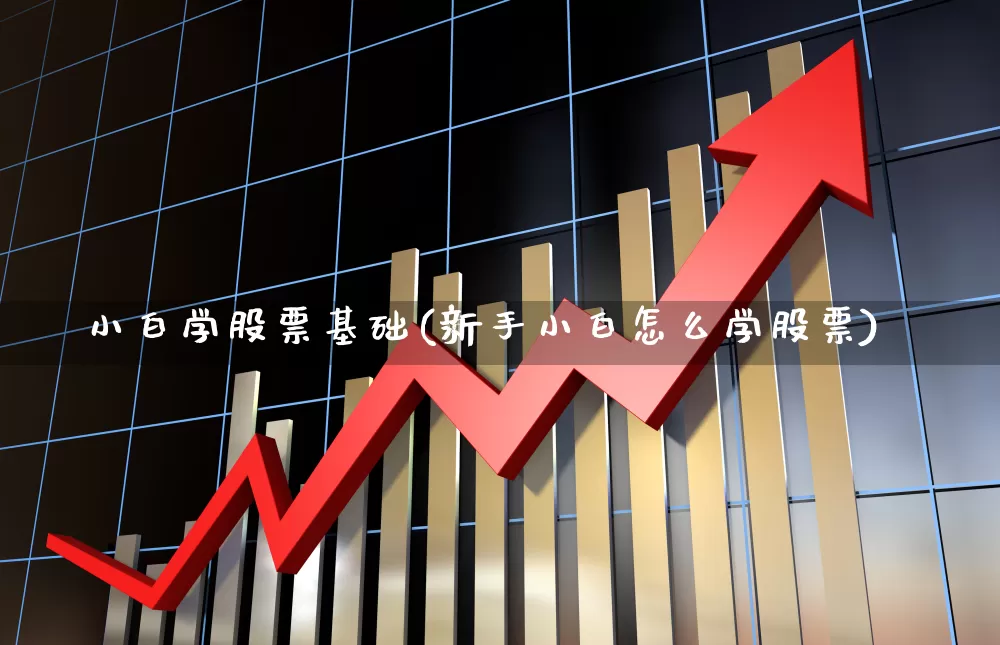 小白学股票基础(新手小白怎么学股票)_https://www.xzdzcjn.com_上交所_第1张