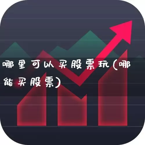 哪里可以买股票玩(哪能买股票)_https://www.xzdzcjn.com_深交所_第1张