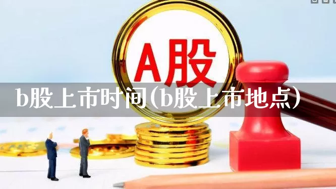 b股上市时间(b股上市地点)_https://www.xzdzcjn.com_深交所_第1张