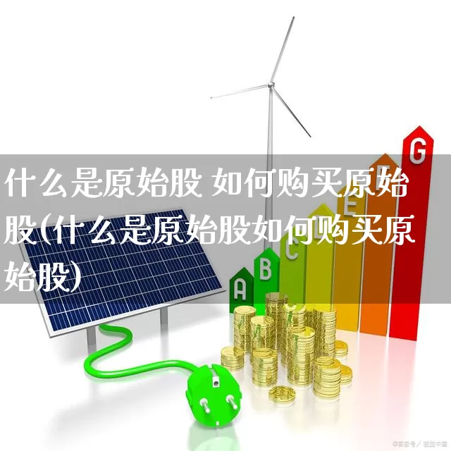 什么是原始股 如何购买原始股(什么是原始股如何购买原始股)_https://www.xzdzcjn.com_北交所_第1张