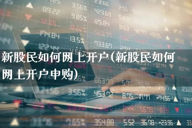 新股民如何网上开户(新股民如何网上开户申购)_https://www.xzdzcjn.com_深交所_第1张