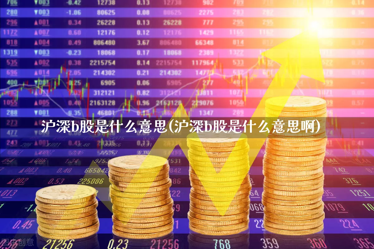 沪深b股是什么意思(沪深b股是什么意思啊)_https://www.xzdzcjn.com_科创板_第1张