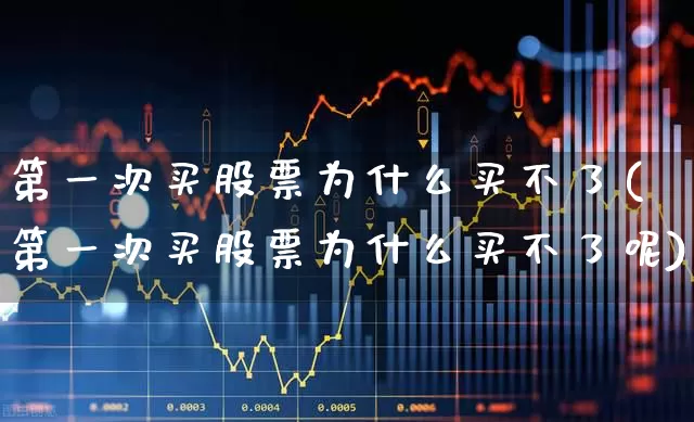 第一次买股票为什么买不了(第一次买股票为什么买不了呢)_https://www.xzdzcjn.com_创业板_第1张