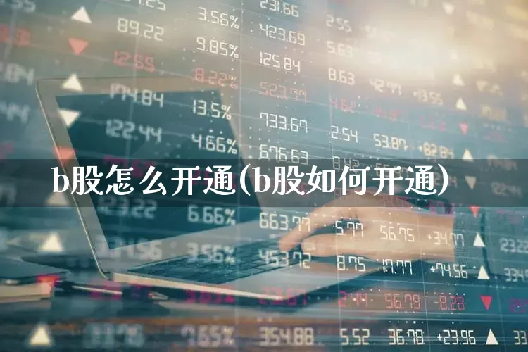 b股怎么开通(b股如何开通)_https://www.xzdzcjn.com_北交所_第1张