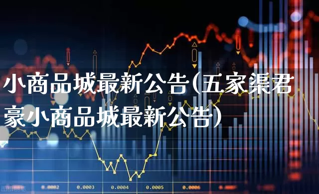 小商品城最新公告(五家渠君豪小商品城最新公告)_https://www.xzdzcjn.com_北交所_第1张