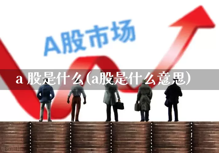 a 股是什么(a股是什么意思)_https://www.xzdzcjn.com_上交所_第1张
