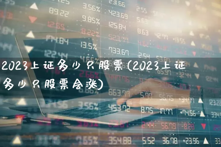 2023上证多少只股票(2023上证多少只股票会涨)_https://www.xzdzcjn.com_北交所_第1张