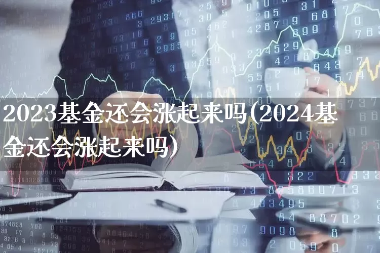 2023基金还会涨起来吗(2024基金还会涨起来吗)_https://www.xzdzcjn.com_创业板_第1张