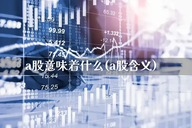 a股意味着什么(a股含义)_https://www.xzdzcjn.com_上交所_第1张