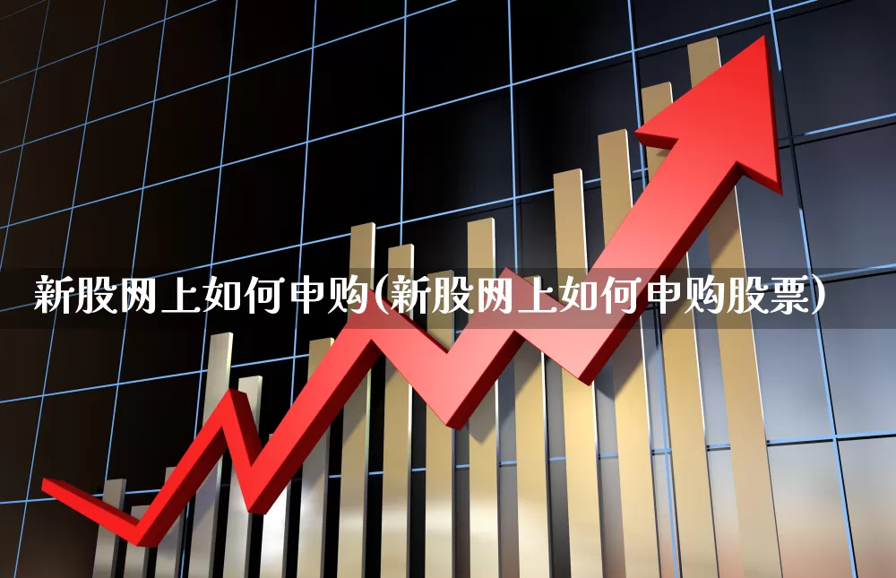 新股网上如何申购(新股网上如何申购股票)_https://www.xzdzcjn.com_北交所_第1张