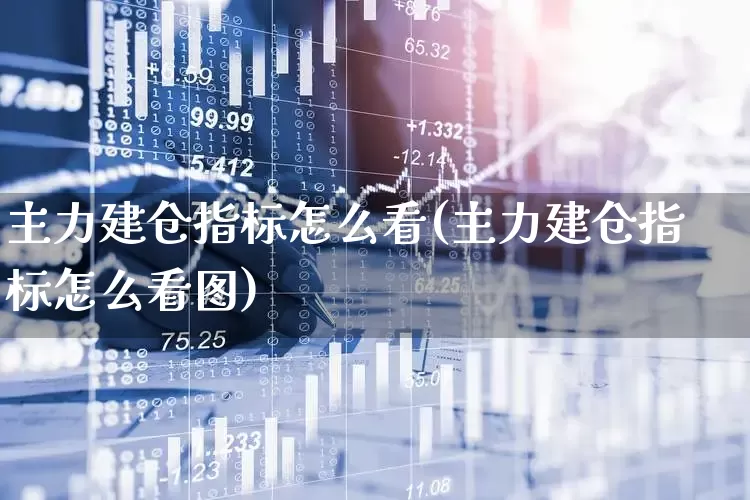主力建仓指标怎么看(主力建仓指标怎么看图)_https://www.xzdzcjn.com_科创板_第1张