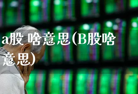 a股 啥意思(B股啥意思)_https://www.xzdzcjn.com_创业板_第1张