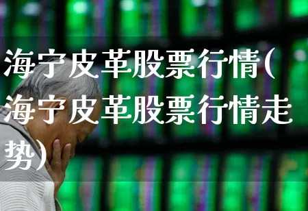 海宁皮革股票行情(海宁皮革股票行情走势)_https://www.xzdzcjn.com_创业板_第1张