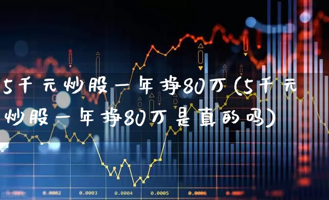 5千元炒股一年挣80万(5千元炒股一年挣80万是真的吗)_https://www.xzdzcjn.com_北交所_第1张