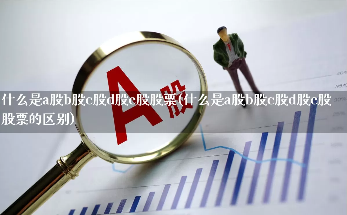 什么是a股b股c股d股e股股票(什么是a股b股c股d股e股股票的区别)_https://www.xzdzcjn.com_深交所_第1张