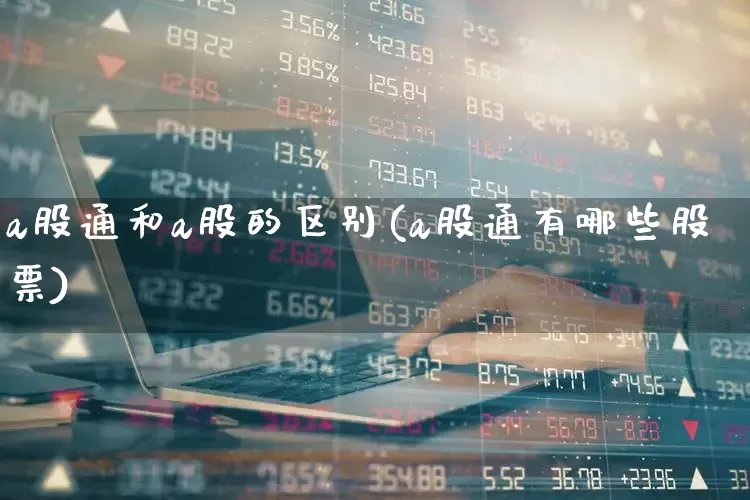 a股通和a股的区别(a股通有哪些股票)_https://www.xzdzcjn.com_科创板_第1张