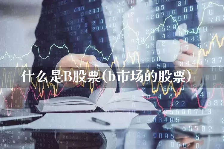 什么是B股票(b市场的股票)_https://www.xzdzcjn.com_科创板_第1张