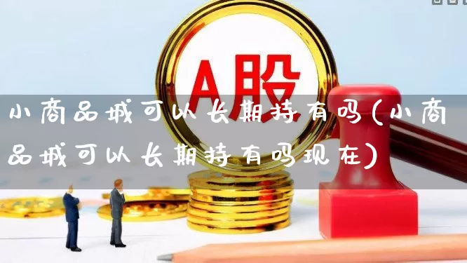 小商品城可以长期持有吗(小商品城可以长期持有吗现在)_https://www.xzdzcjn.com_创业板_第1张