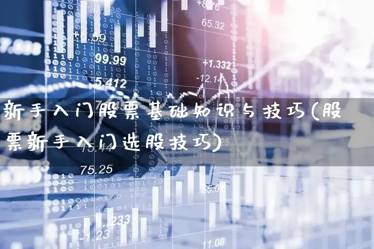 新手入门股票基础知识与技巧(股票新手入门选股技巧)_https://www.xzdzcjn.com_上交所_第1张