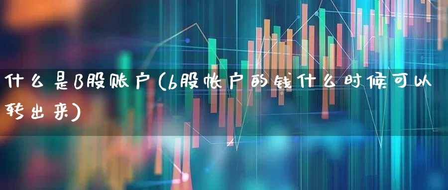 什么是B股账户(b股帐户的钱什么时候可以转出来)_https://www.xzdzcjn.com_深交所_第1张