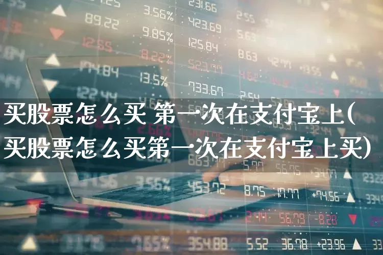 买股票怎么买 第一次在支付宝上(买股票怎么买第一次在支付宝上买)_https://www.xzdzcjn.com_创业板_第1张