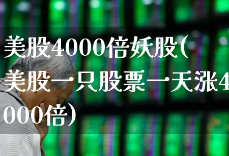 美股4000倍妖股(美股一只股票一天涨4000倍)_https://www.xzdzcjn.com_上交所_第1张
