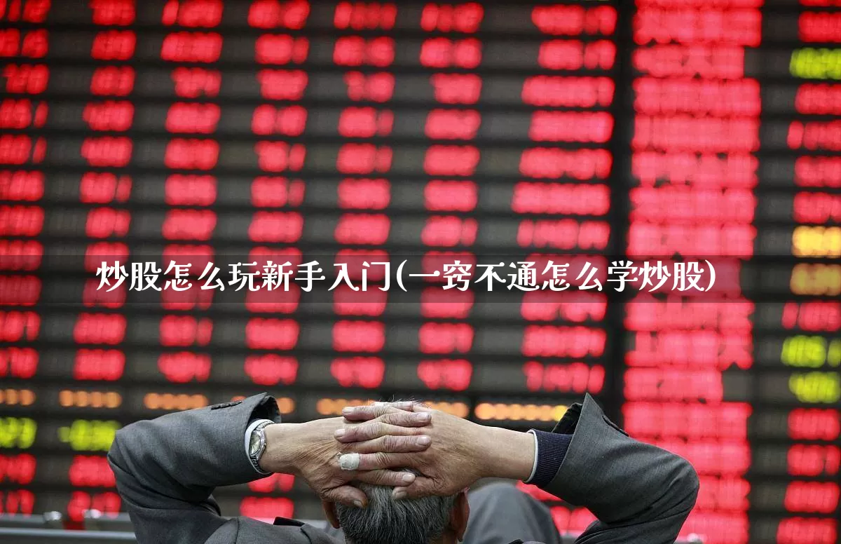 炒股怎么玩新手入门(一窍不通怎么学炒股)_https://www.xzdzcjn.com_创业板_第1张