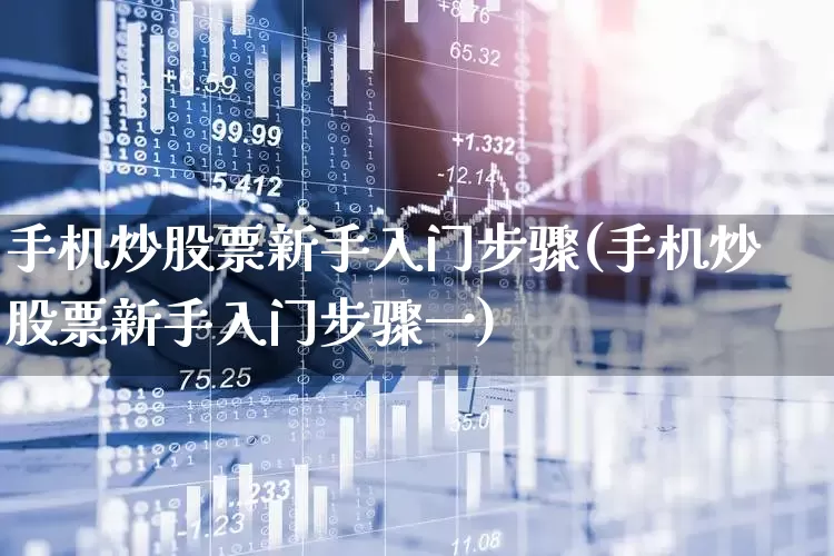 手机炒股票新手入门步骤(手机炒股票新手入门步骤一)_https://www.xzdzcjn.com_上交所_第1张