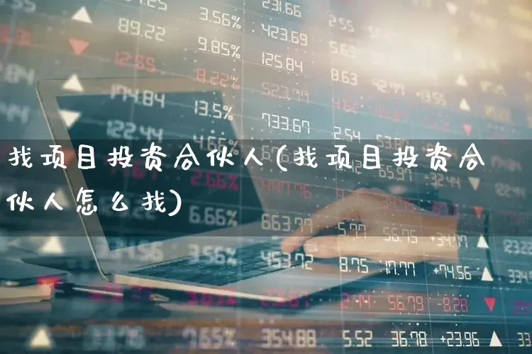 找项目投资合伙人(找项目投资合伙人怎么找)_https://www.xzdzcjn.com_上交所_第1张