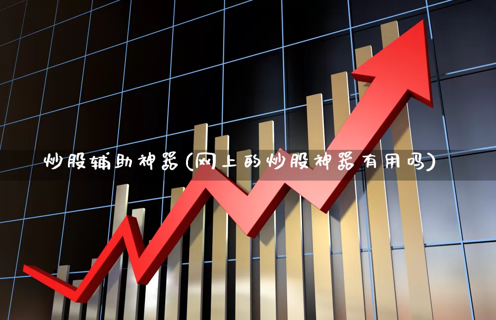 炒股辅助神器(网上的炒股神器有用吗)_https://www.xzdzcjn.com_科创板_第1张