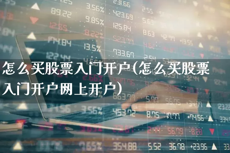 怎么买股票入门开户(怎么买股票入门开户网上开户)_https://www.xzdzcjn.com_北交所_第1张