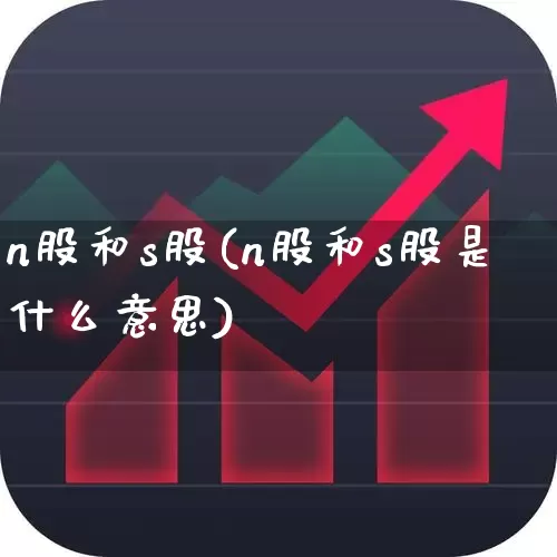n股和s股(n股和s股是什么意思)_https://www.xzdzcjn.com_北交所_第1张